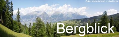 Bergblick Immobilien